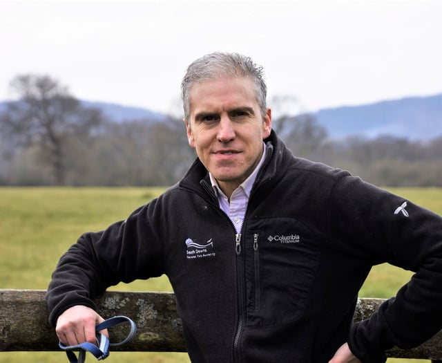 Major shake-up in Hampshire as quarter of councillors step down