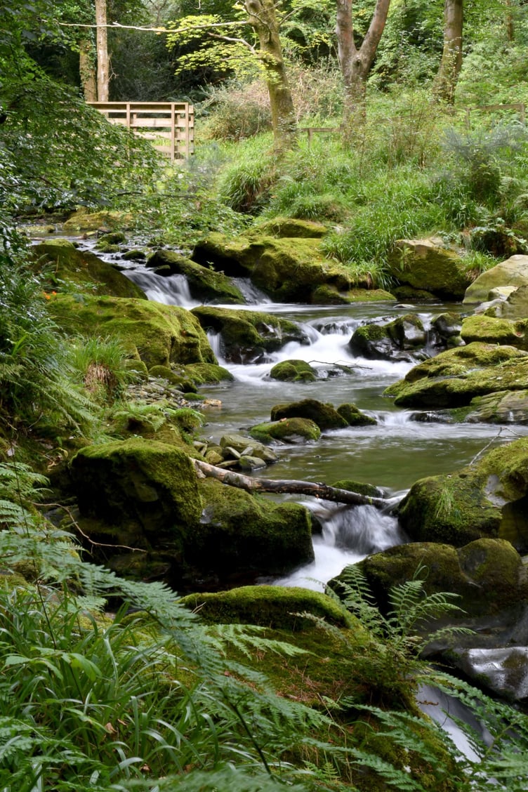 Ballaglass glen -