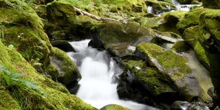 Beauty spots should be ‘recognised as parks’