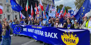 European Movement: Join the fight to get back our European star