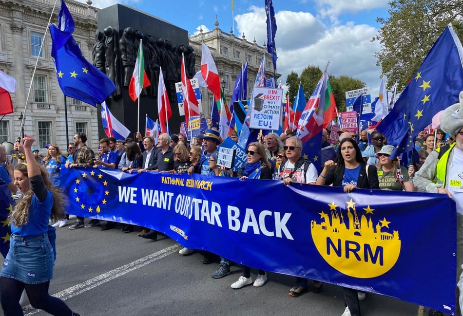 <p>Tens of thousands marched in central London last week for the National Rejoin March</p>