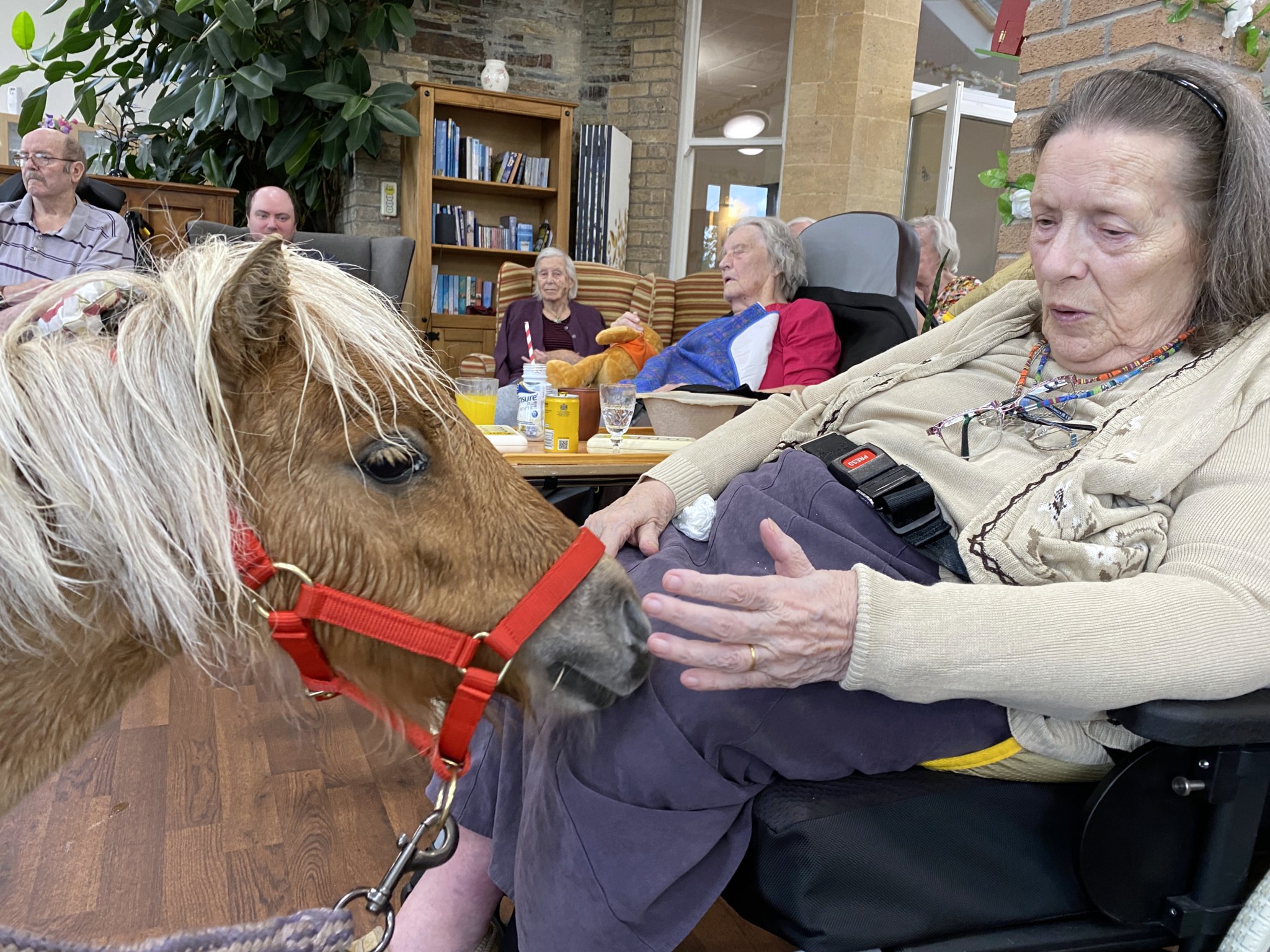 Chollacott nursing home