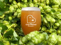 One Planet Brewing Co opens with 100 per cent solar-powered brewing
