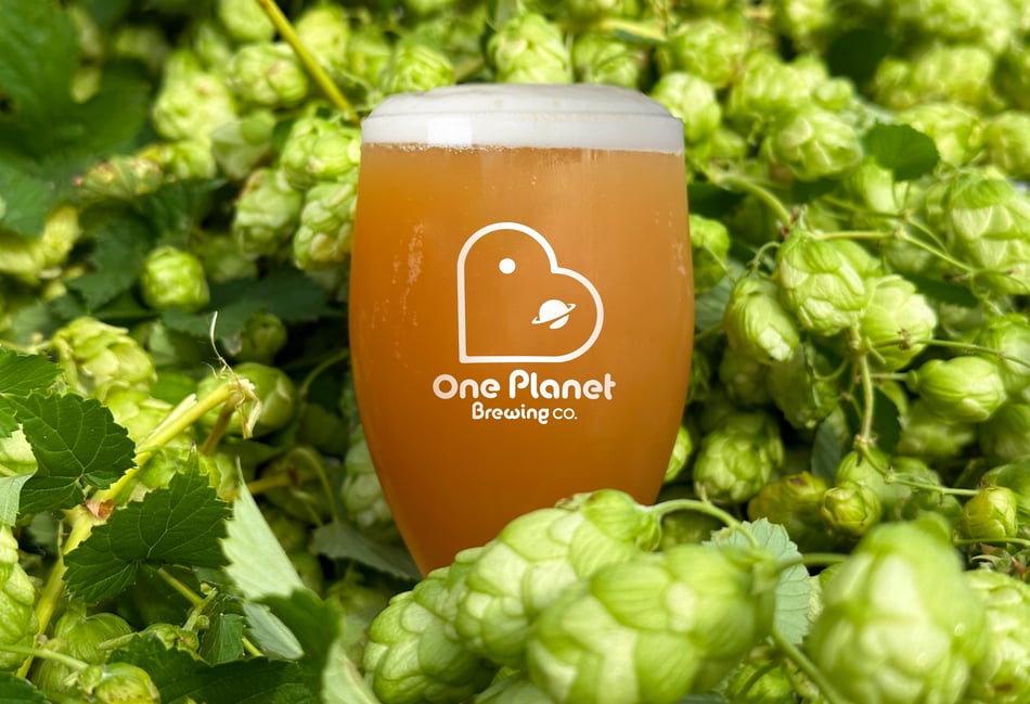 <p>One Planet Brewery is set to open next to the Hogs Back Brewery in Tongham, brewing using 100 per cent solar-generated power</p>