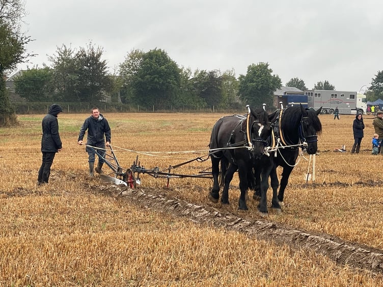 Images from Cheriton Fitzpaine and District Ploughing Match and Produce Show.