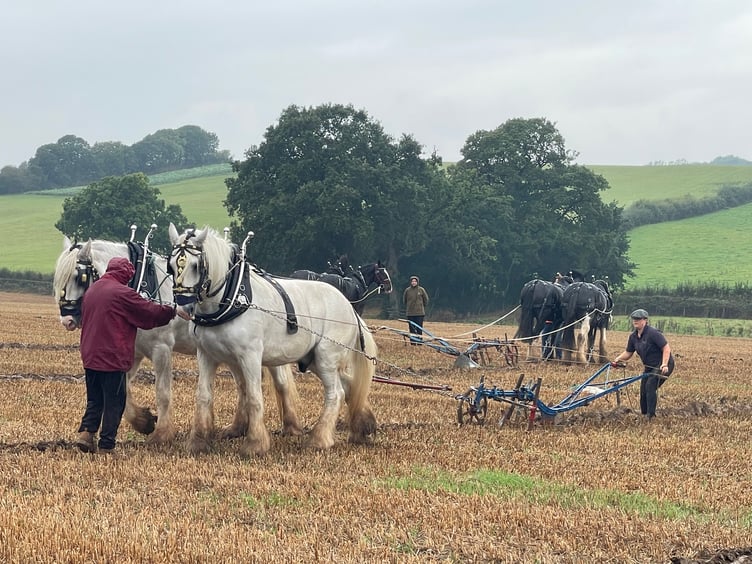 Images from Cheriton Fitzpaine and District Ploughing Match and Produce Show.