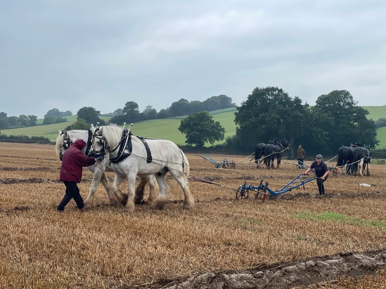 Images from Cheriton Fitzpaine and District Ploughing Match and Produce Show.
