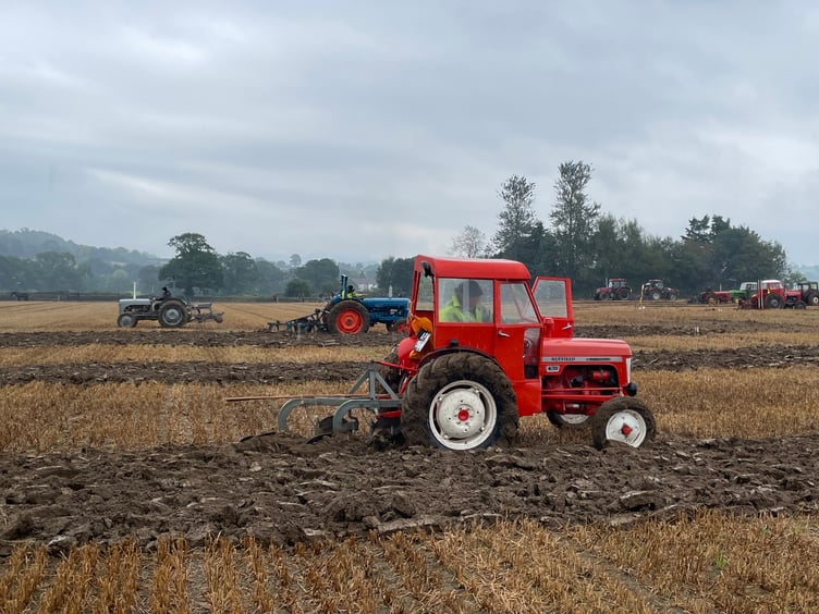 Images from Cheriton Fitzpaine and District Ploughing Match and Produce Show.