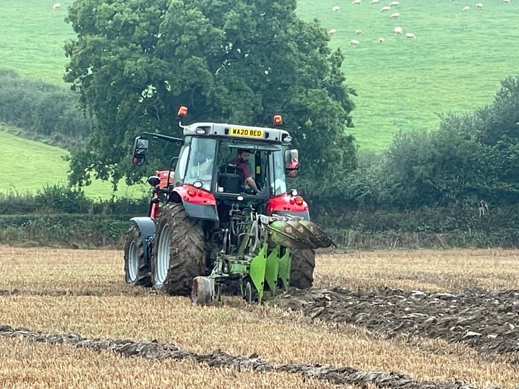 Images from Cheriton Fitzpaine and District Ploughing Match and Produce Show.