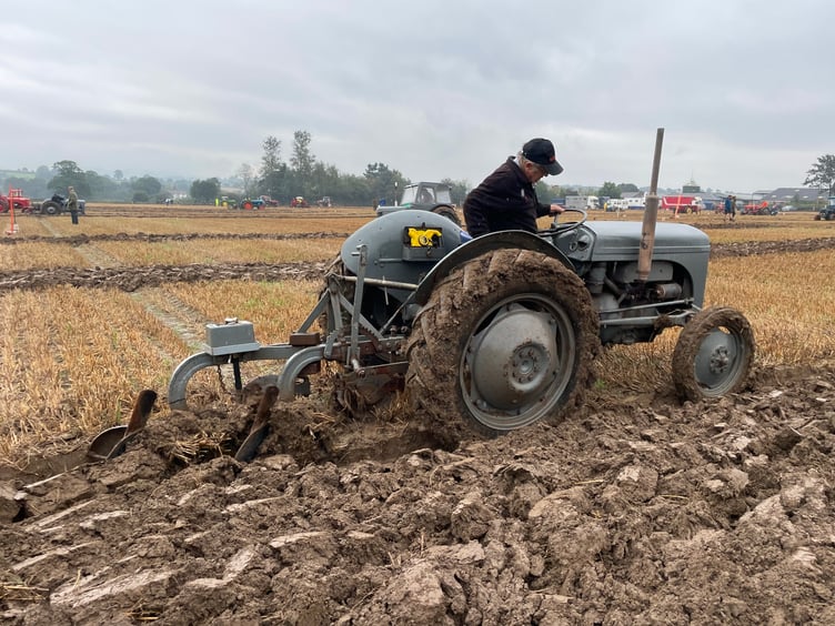Images from Cheriton Fitzpaine and District Ploughing Match and Produce Show.