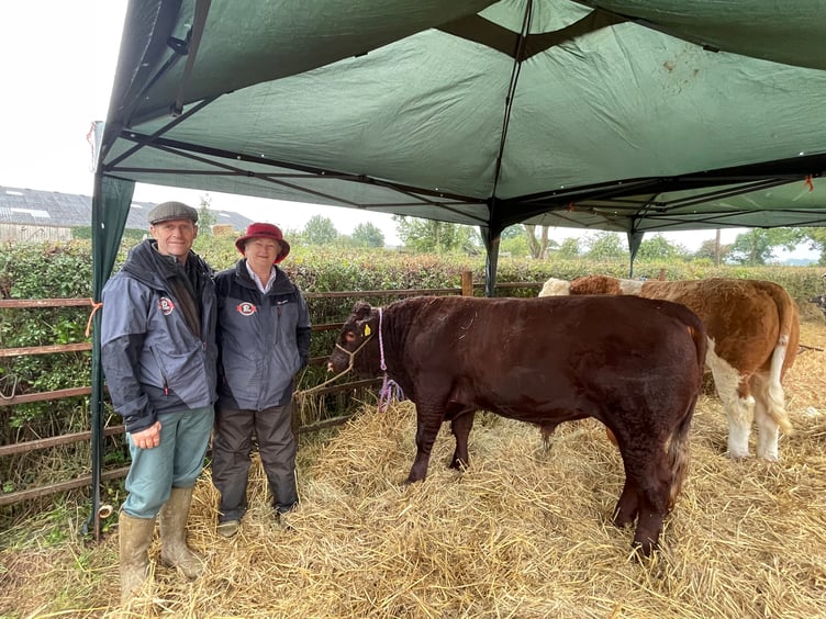 Images from Cheriton Fitzpaine and District Ploughing Match and Produce Show.