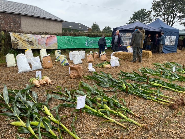 Images from Cheriton Fitzpaine and District Ploughing Match and Produce Show.