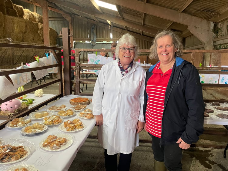 Images from Cheriton Fitzpaine and District Ploughing Match and Produce Show.