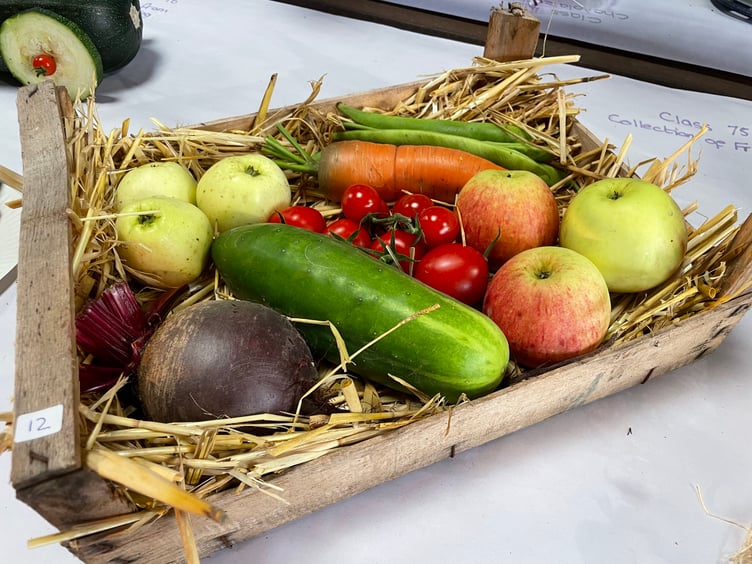 Images from Cheriton Fitzpaine and District Ploughing Match and Produce Show.