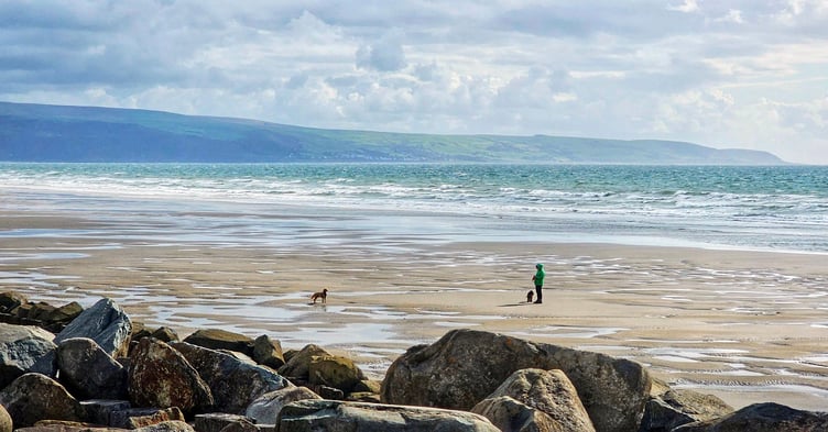 Dog walking on Barmouth beach, taken by Graham Rainbow