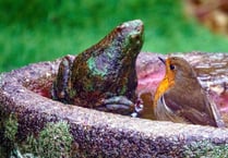 Wildlife and the water: Your fantastic photos of local life and landscape