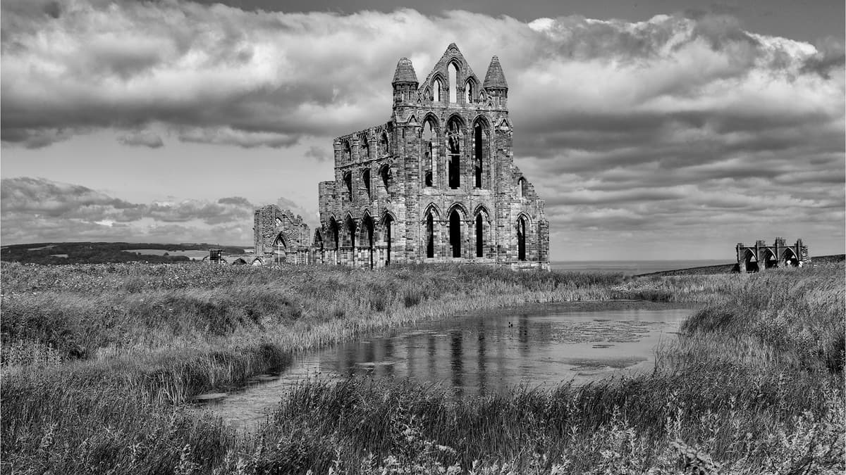 Norton Radstock Photographic Society are back, this time with new