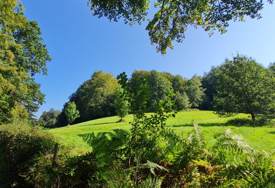 <p>The AONB area under threat from development </p>