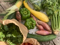 Weather can’t stop the chemical-free growing at Farnham Community Farm
