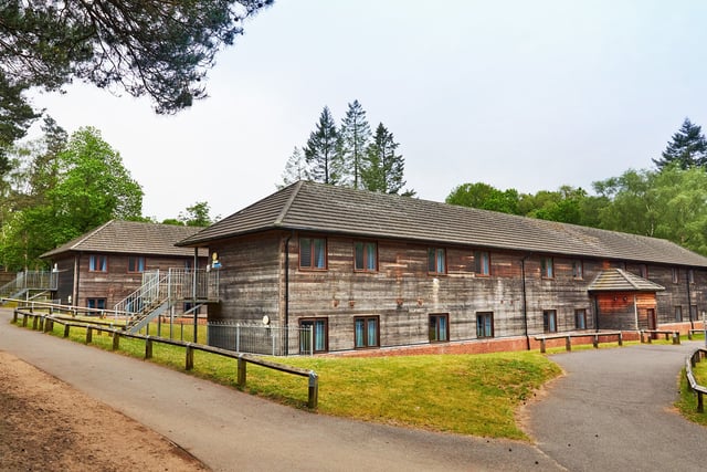 PGL confirms children taken to hospital after tree fall