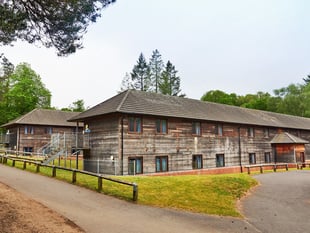 Investigation under way into Marchants Hill PGL tree incident