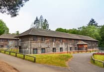 PGL confirms children taken to hospital after tree fall