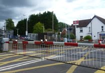 Website could ease level crossing wait times in Petersfield and Liss