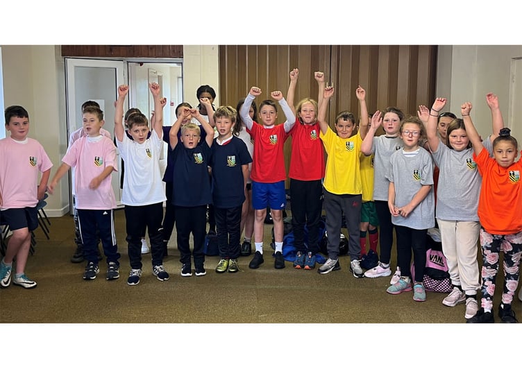 Ysgol Tanycastell