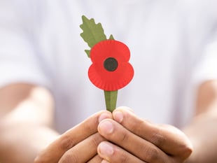 Plastic-free poppies to go on sale for the first time later this month