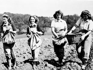 Wartime memories sought for 1940s twist on Shakespeare classic