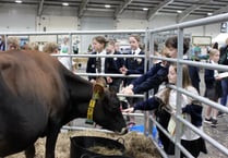 Children have been getting 'Farmwise' in Devon for 10 years
