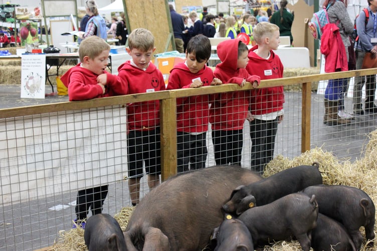 Images from Farmwise held at Westpoint.