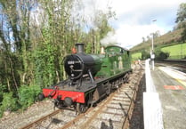 Gallery: End-of-season joy in steam at Bodmin and Wenford rail gala 