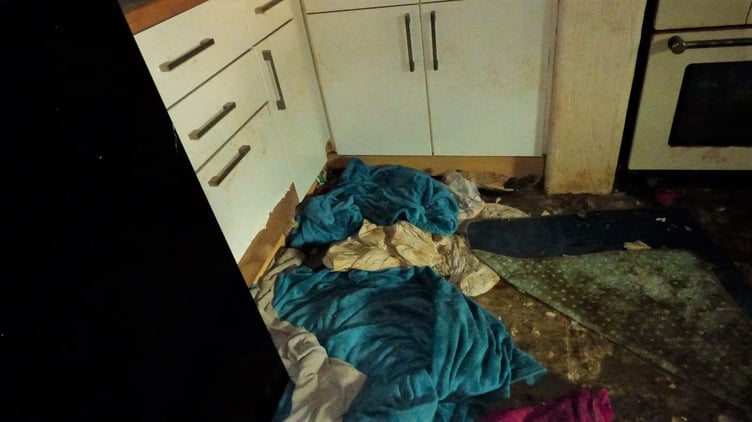 The dogs' bedding found inside the McDermotts' house