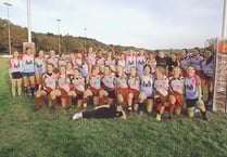 Dolphins host first transition festival in the Scarlets region