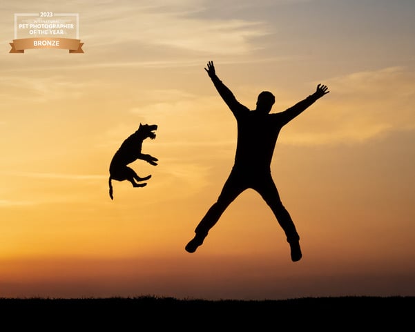 Diane Gollowitzer from Midhurst won five bronze and silver awards out of the six categories she entered in the International Pet Photographer of the Year competition