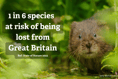 Nextdoor Nature: Do you have an idea for rewilding in your area?
