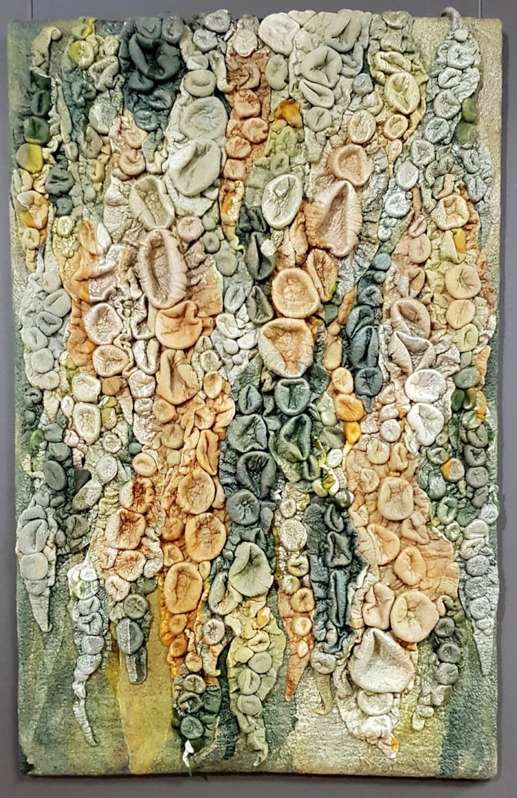 Lichen by Reena Curphey
