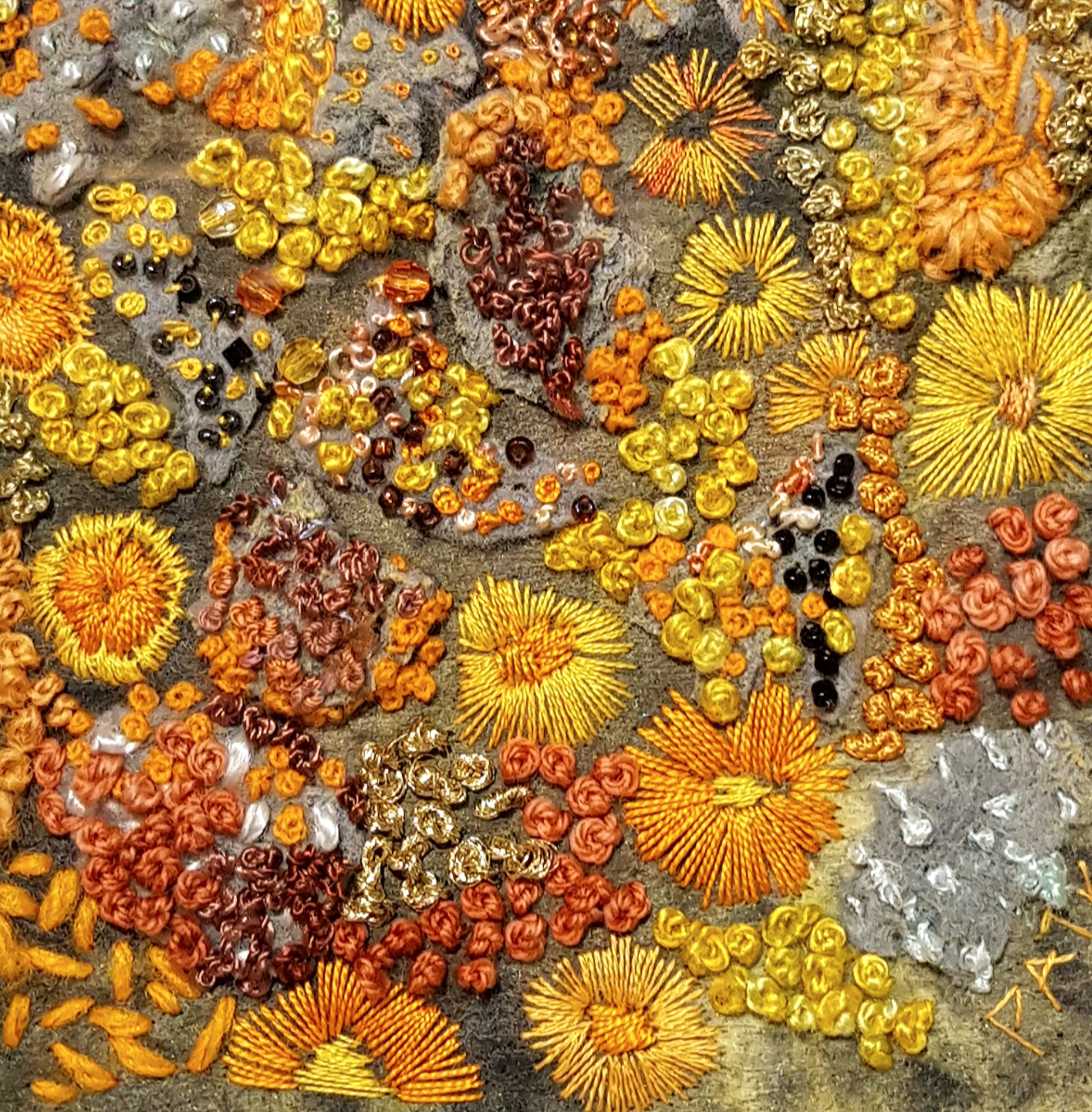 Lichen on Seawall Ramsey by Pat Kelly