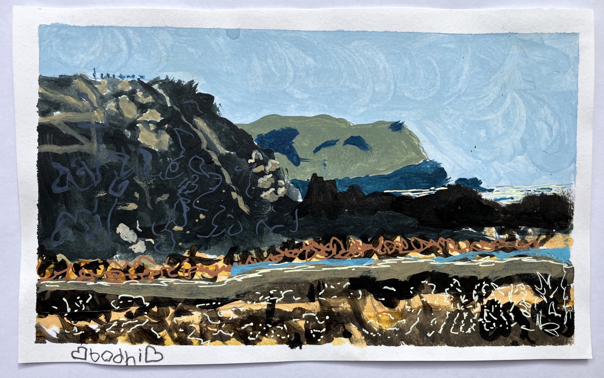 Runner-up: Bodhi Muizz Waldstadt, (10) from Newton St Cyres, painting of Saunton Sands.