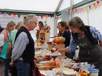 <p>This year's Dummer Fair raised an incredible £36,000 for Treloar School and College in Holybourne</p>