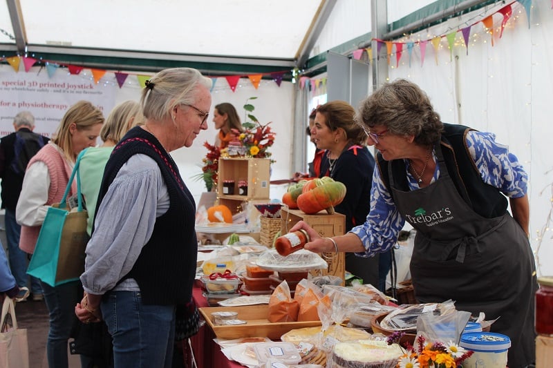 <p>This year's Dummer Fair raised an incredible £36,000 for Treloar School and College in Holybourne</p>