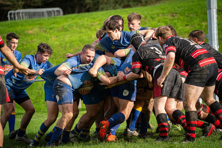 Gwylanod driving maul