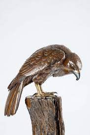 Hawk On Stand Koro by Maruki