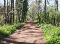 <p>A 67-year-old suffered a broken eye socket after being assaulted on Liss Riverside Railway Walk early this month.</p>