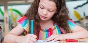 Hampshire holiday programme attendance