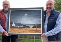 Wyn Mel donates art to Lake election campaign