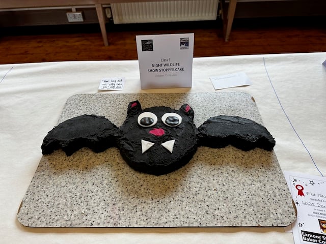 No mistaking this is a bat cake in the Star Baker competition held in Porlock.
