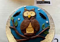 Star Baker competition is a piece of cake