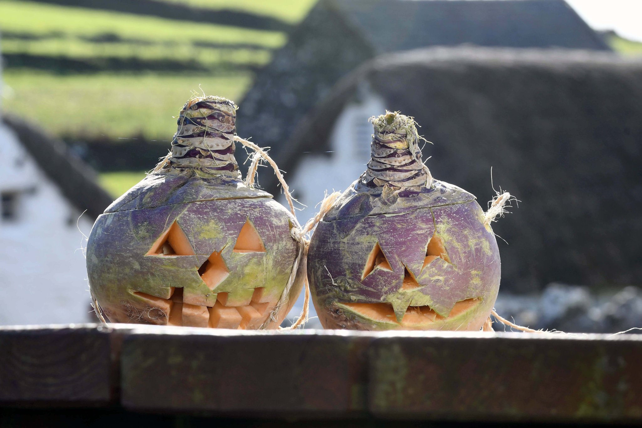 All smiles - a pair of perfectly carved turnips